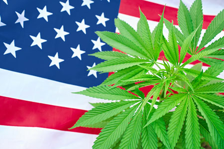 Cannabis leaf in front of an American Flag.